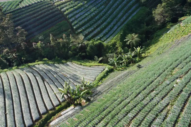 西南地区动力设备行业发展趋势与发电机组应用前景