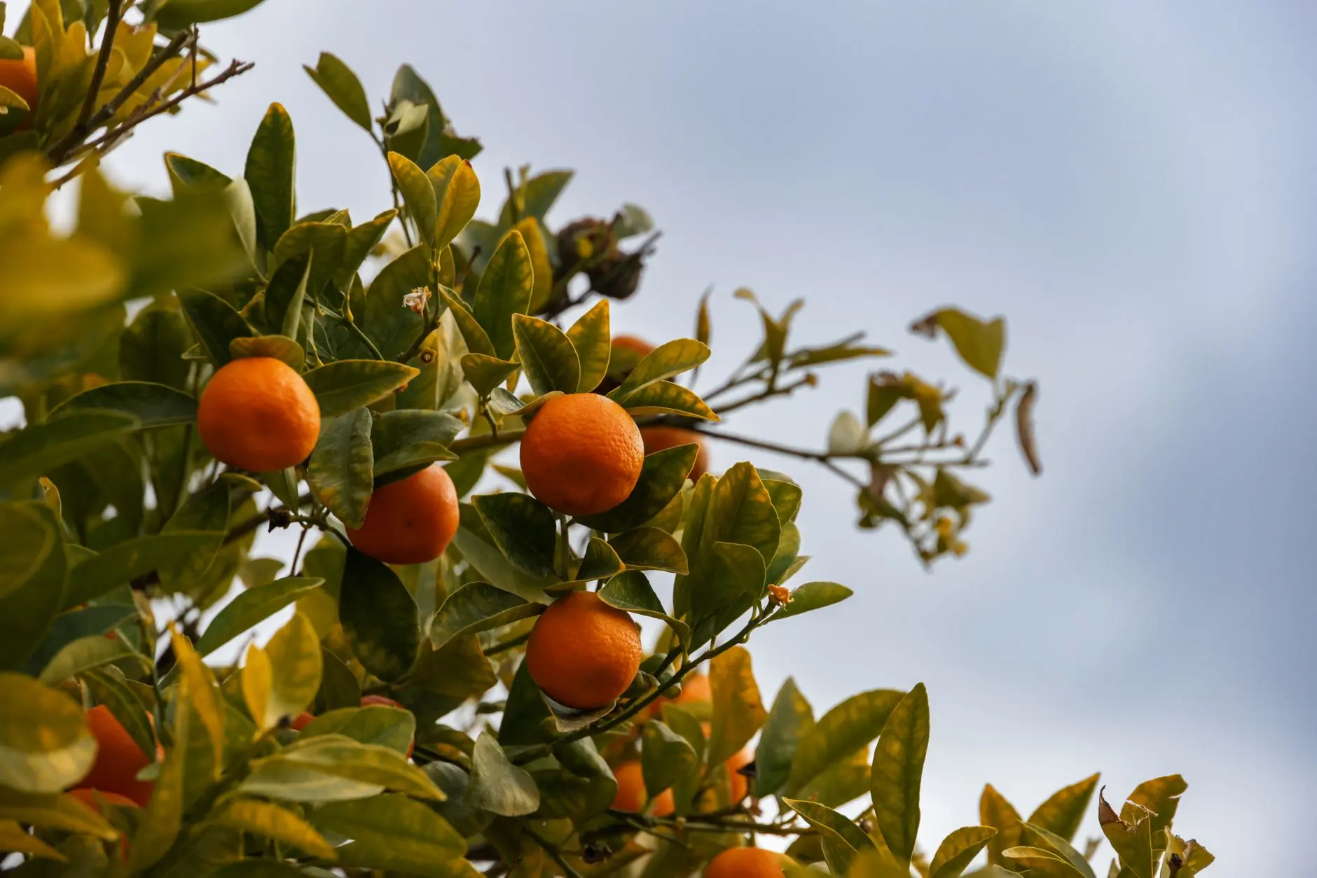 2024年贵州工业用柴油发电机组价格及性能对比分析