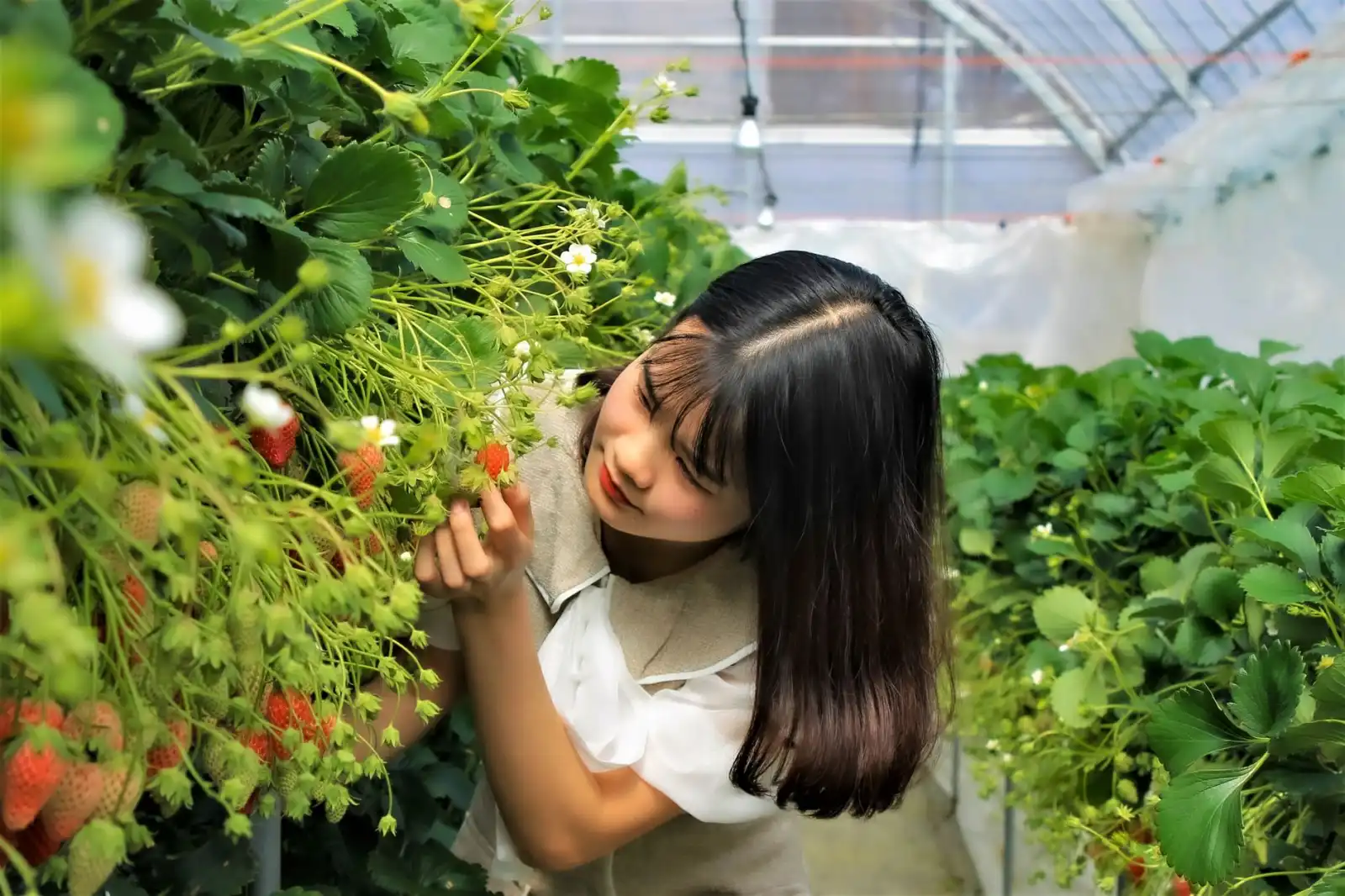 博创动力柴油发电机组技术参数与选型要点详解