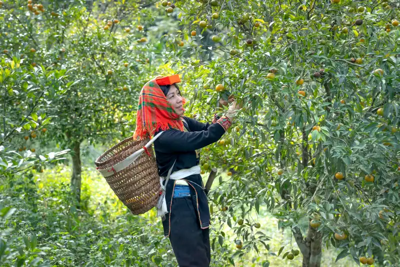 贵州博创动力发电机组选型指南：工业项目如何匹配动力设备功率与配置