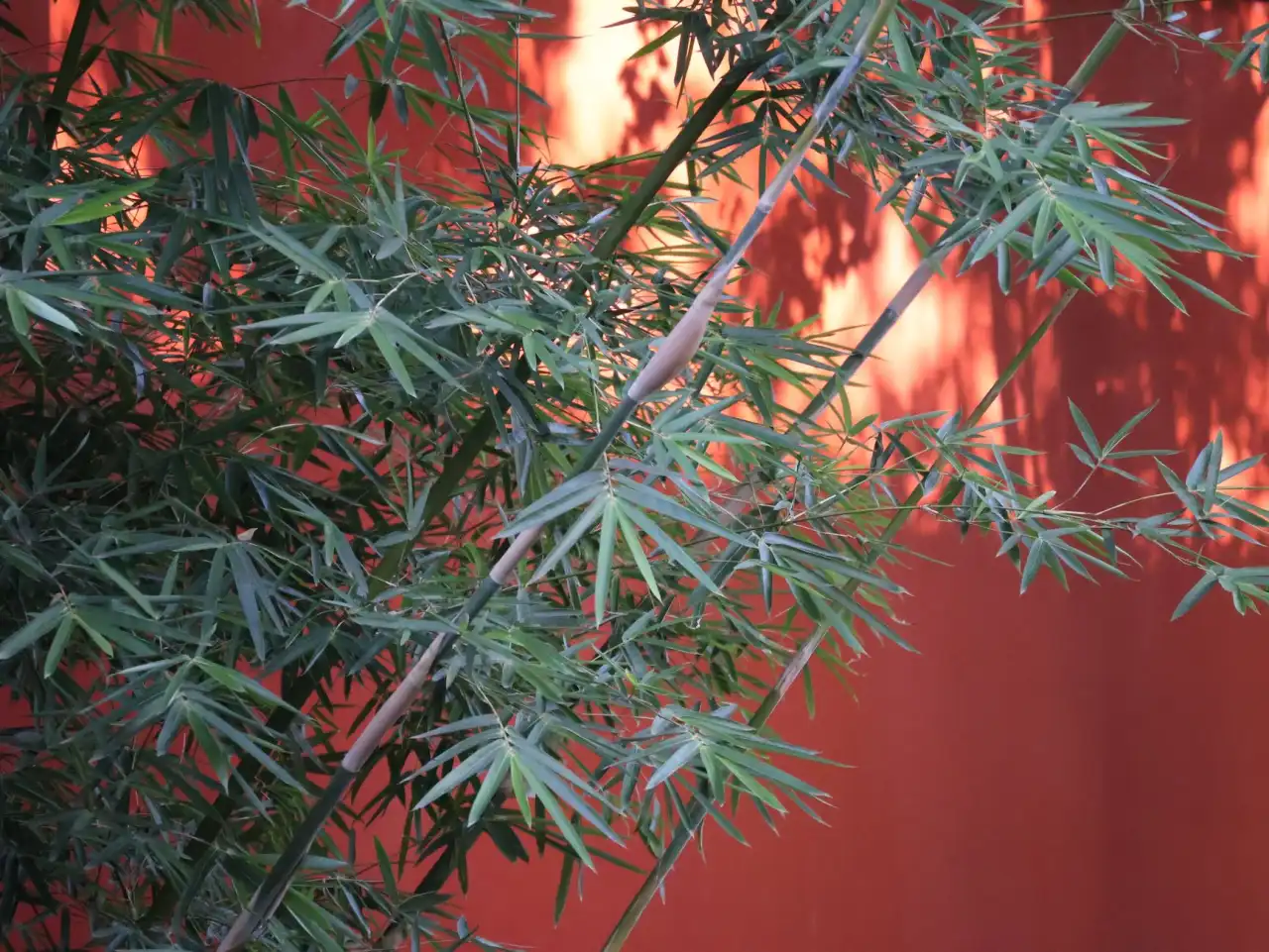 动力设备与工业设备如何协同？贵州制�造企业电力保障方案设计要点