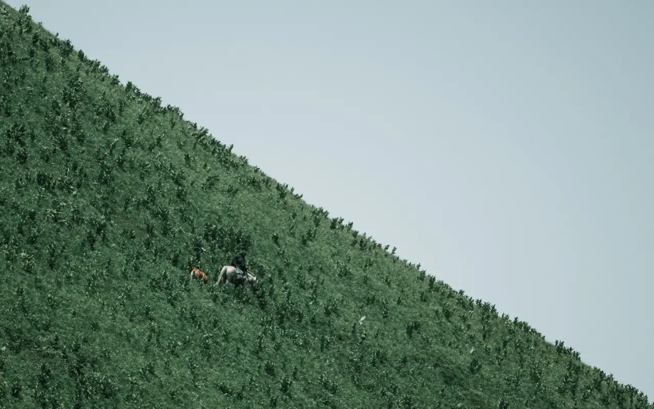 贵州工业发电机组选型要点与适配场景分析